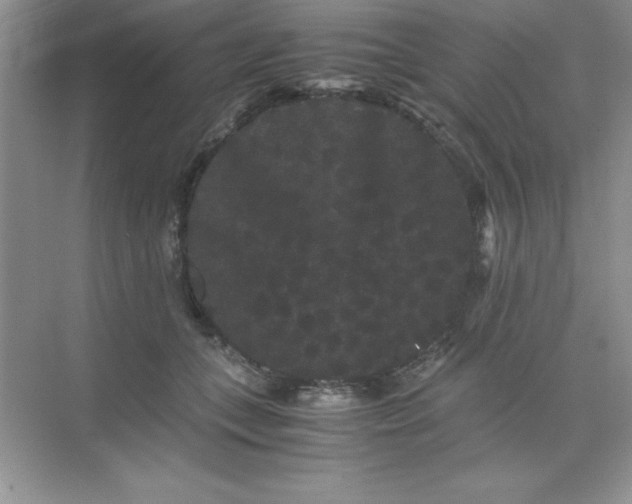 X0000071900559200607212019