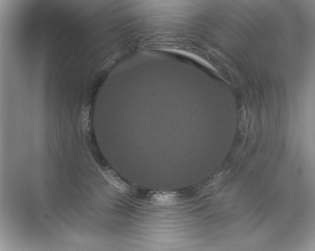 X0000071900560200607212019