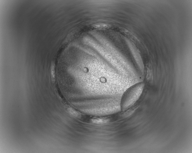 X0000071900561200607212019