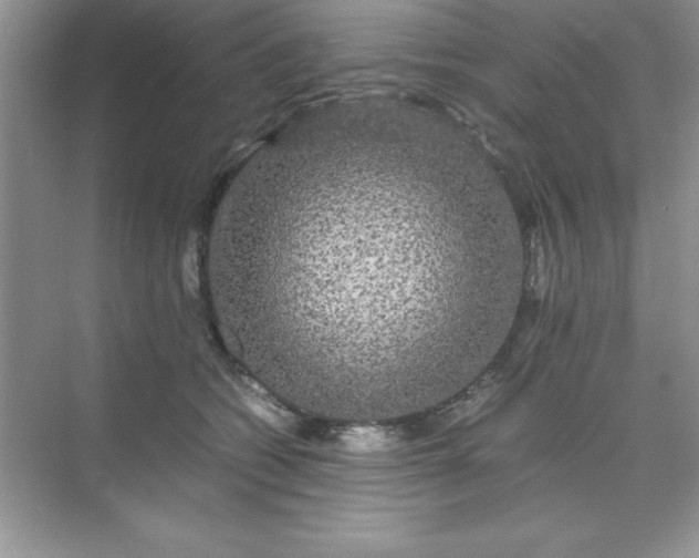 X0000071900562200607212019