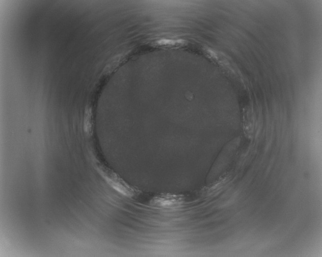 X0000071900563200607212019