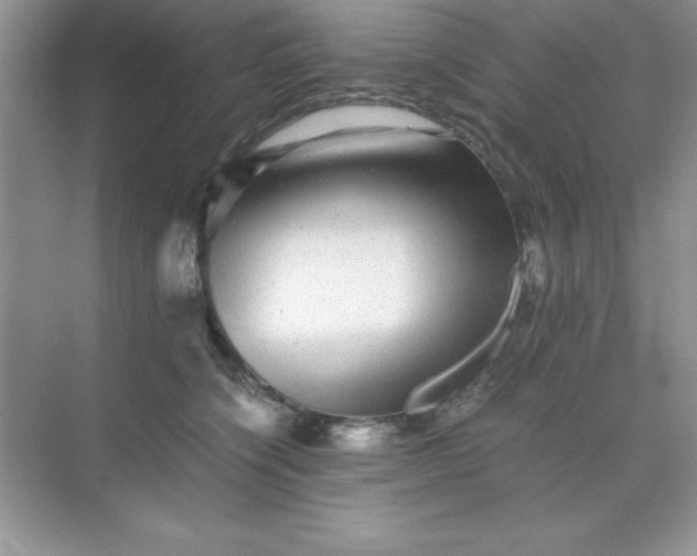 X0000071900564200607212019