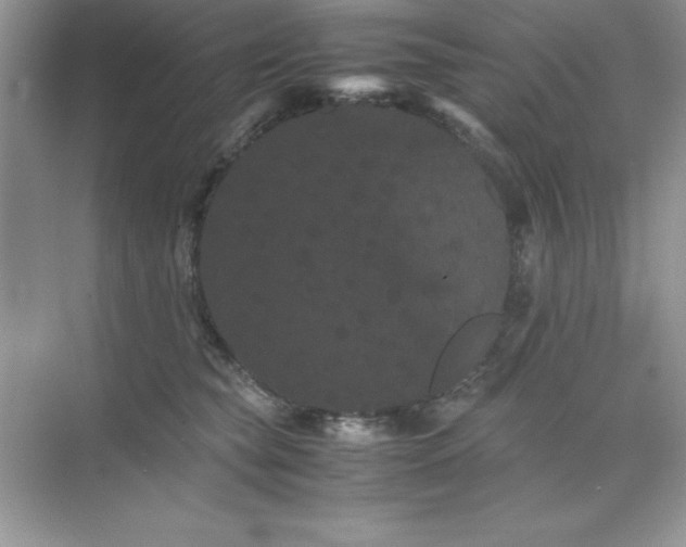 X0000071900565200607212019