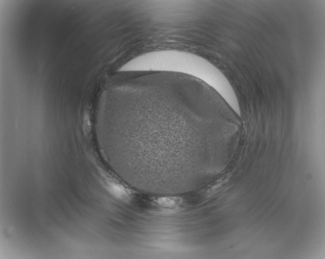 X0000071900566200607212019