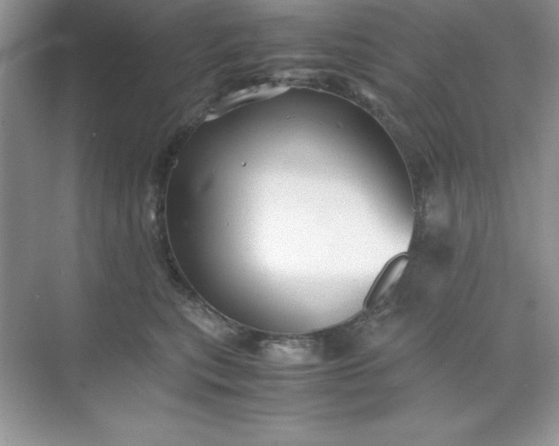 X0000071900567200607212019