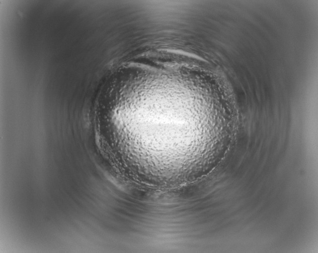 X0000071900568200607212019