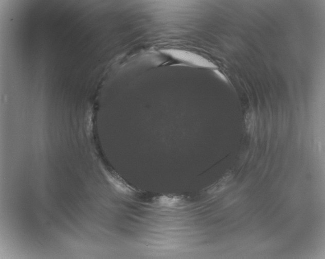 X0000071900570200607212019