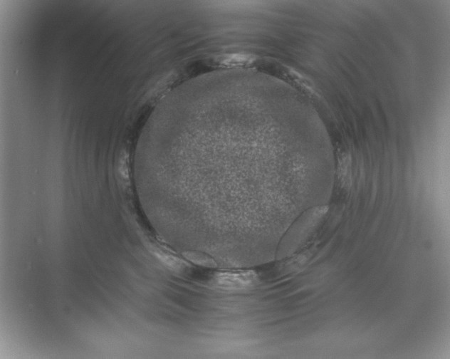 X0000071900571200607212019