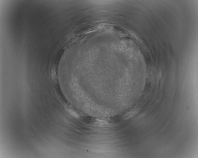 X0000071900573200607212019