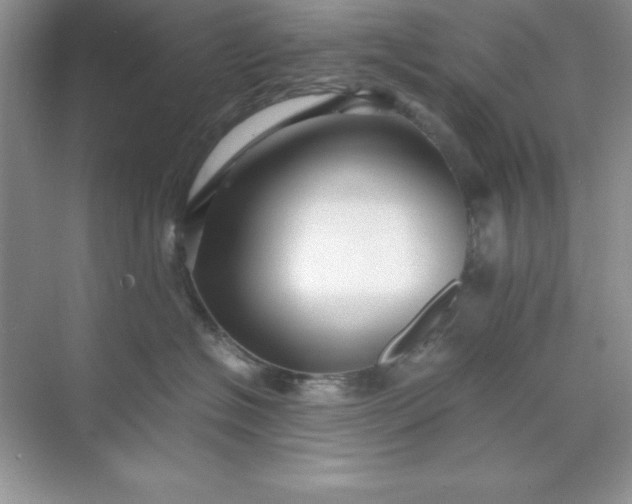 X0000071900574200607212019