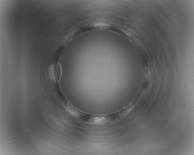 X0000071900575200607212019