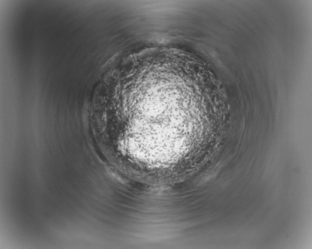 X0000071900576200607212019