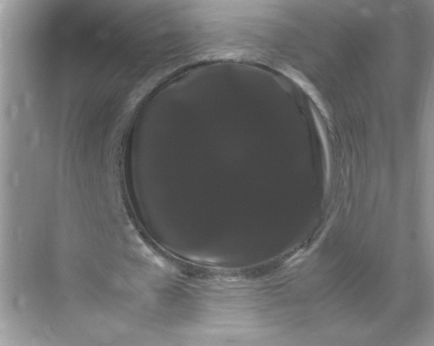 X0000071900577200607212019