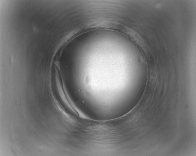 X0000071900578200607212019