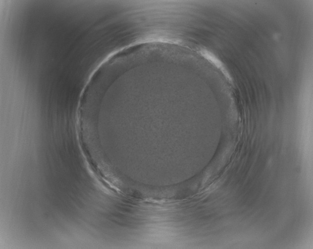 X0000071900580200607212019