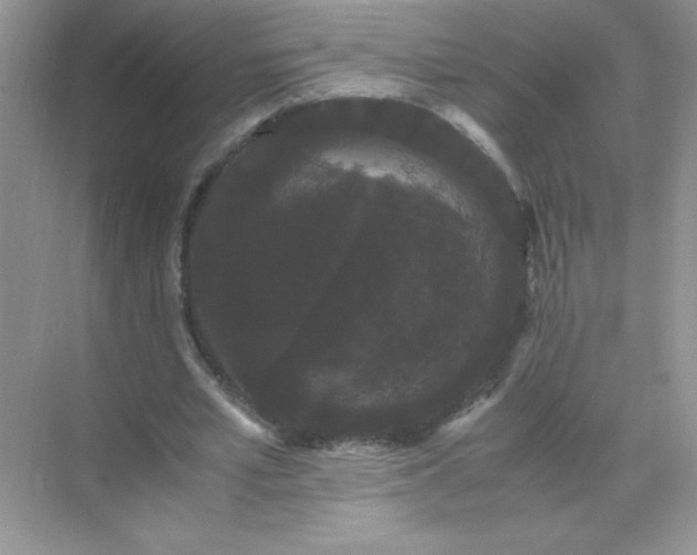 X0000071900581200607212019