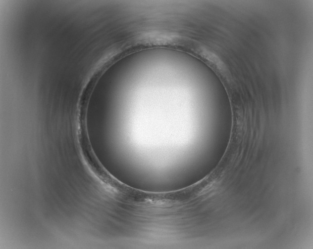 X0000071900582200607212018