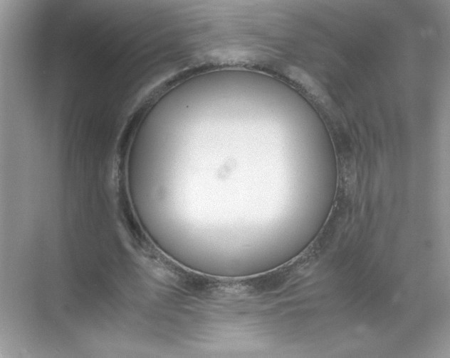 X0000071900583200607212018