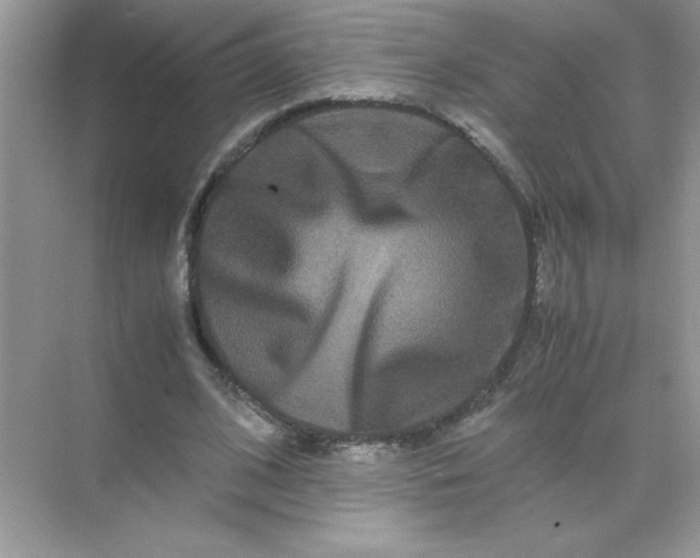 X0000071900584200607212018