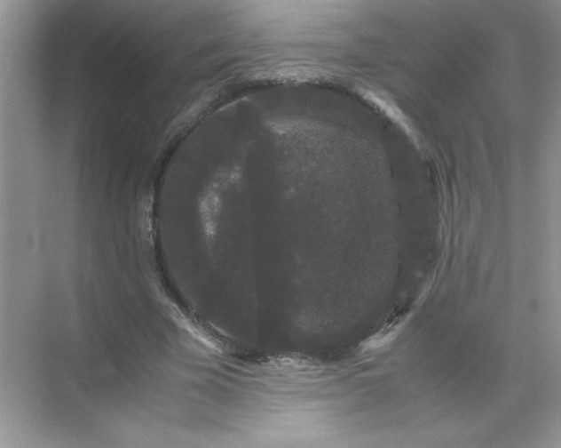 X0000071900585200607212018