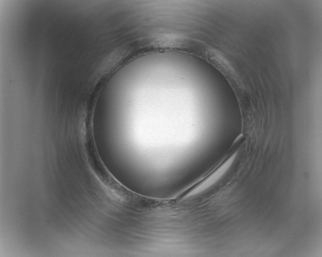 X0000071900586200607212018