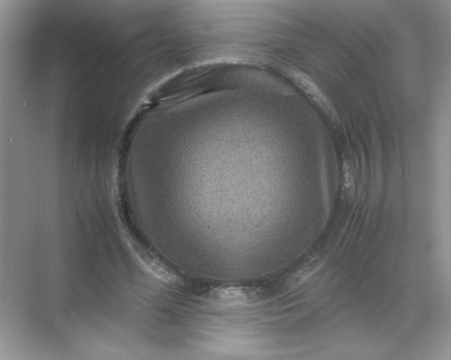 X0000071900588200607212018