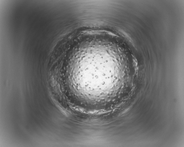 X0000071900589200607212018