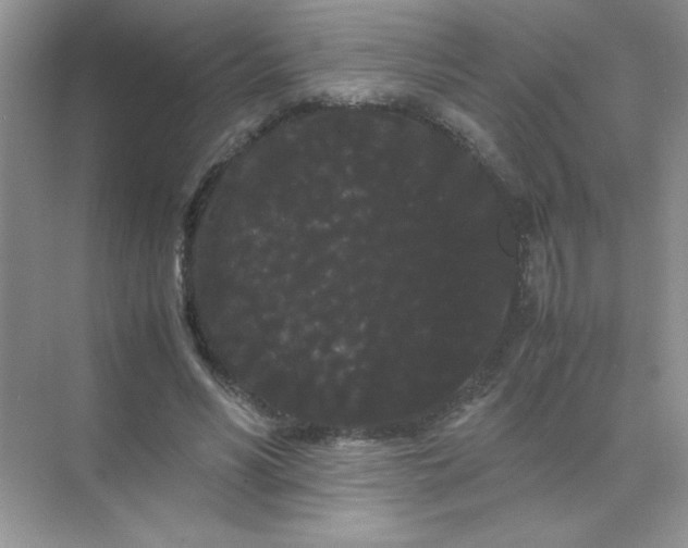 X0000071900590200607212018