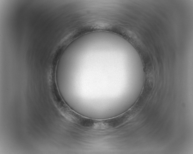 X0000071900591200607212018