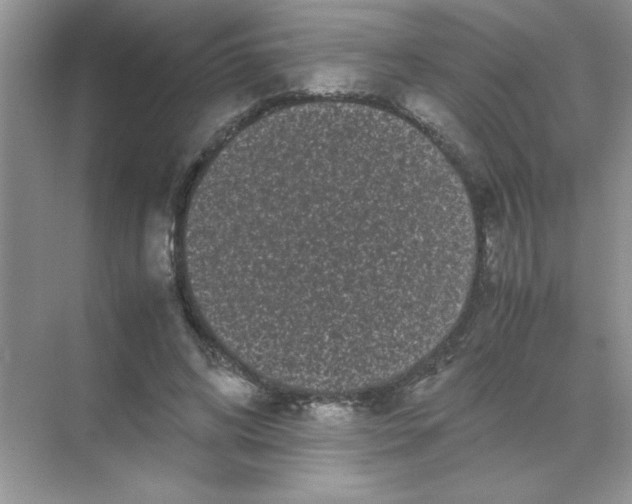 X0000071900592200607212018