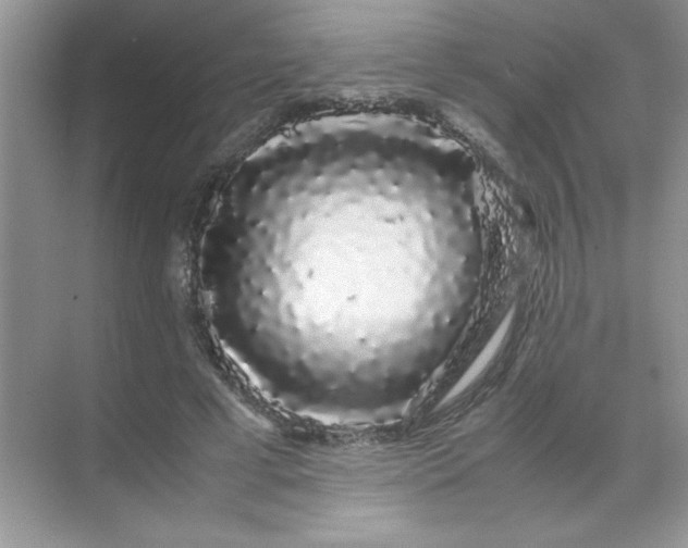 X0000071900593200607212018