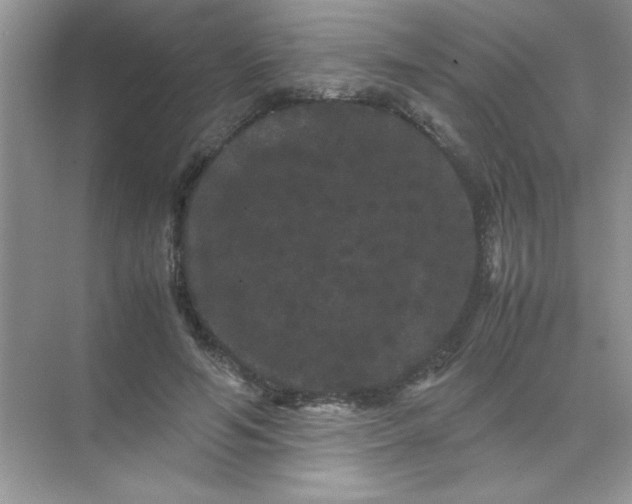 X0000071900594200607212018