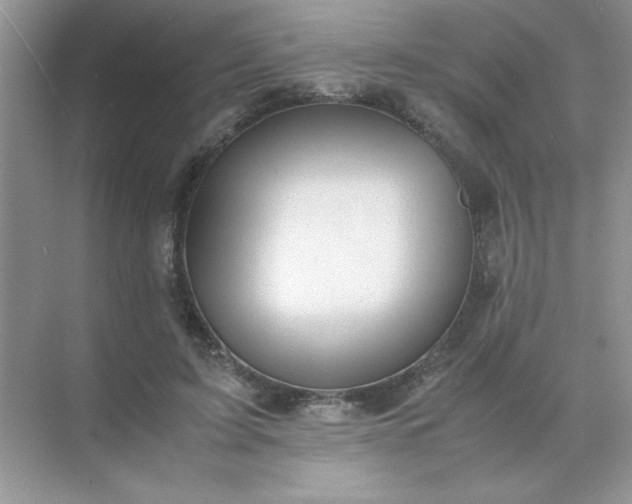 X0000071900595200607212018