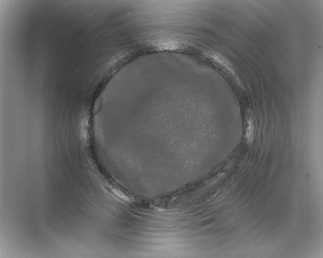 X0000071900596200607212018