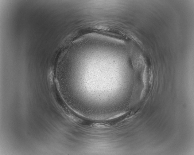 X0000071900597200607212018