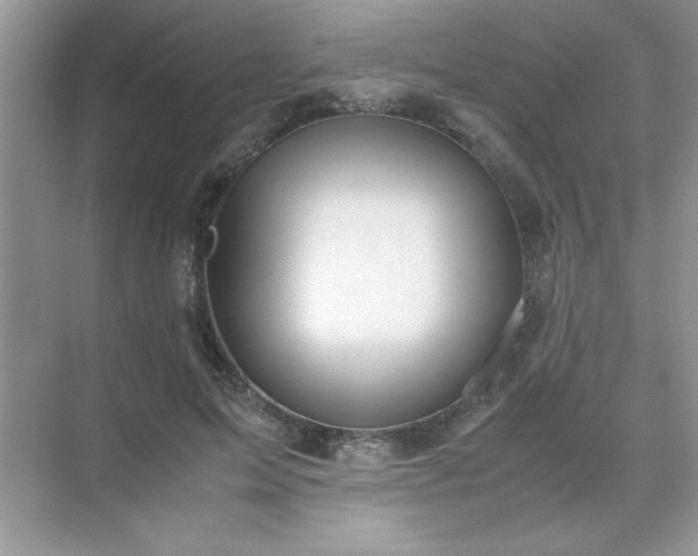 X0000071900599200607212018