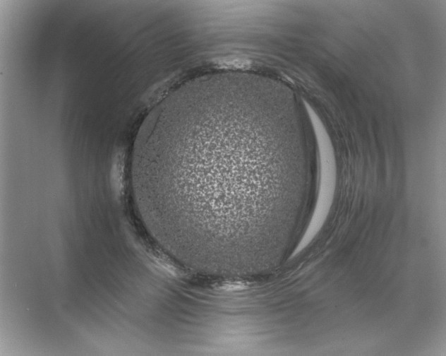 X0000071900600200607212018