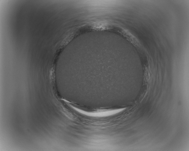 X0000071900601200607212018