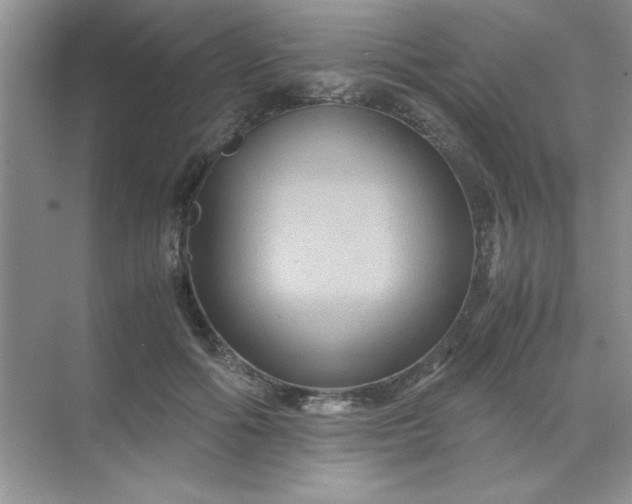 X0000071900602200607212018