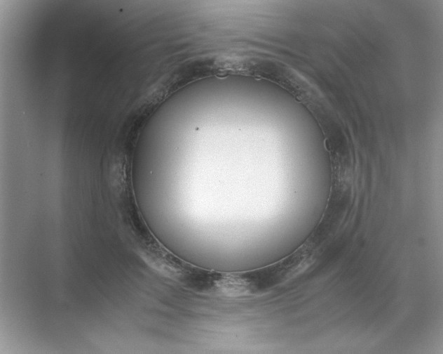 X0000071900603200607212018