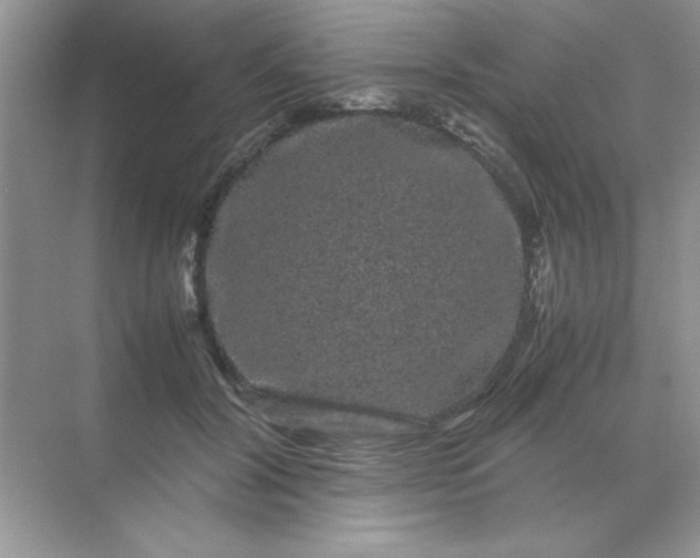 X0000071900604200607212018