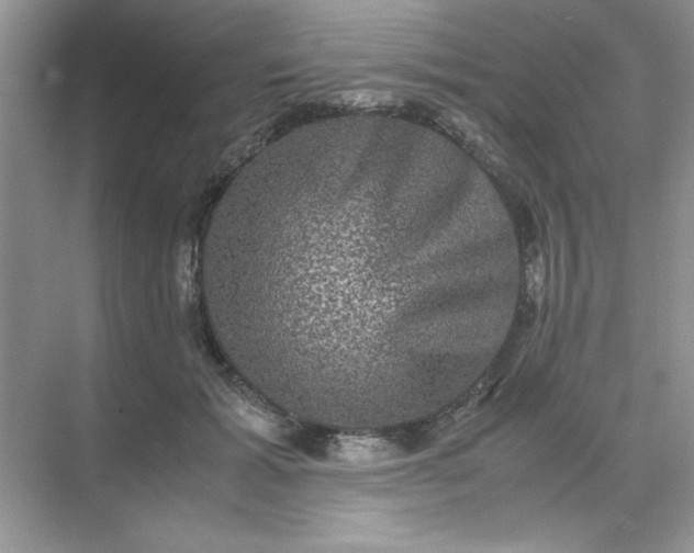 X0000071900605200607212018