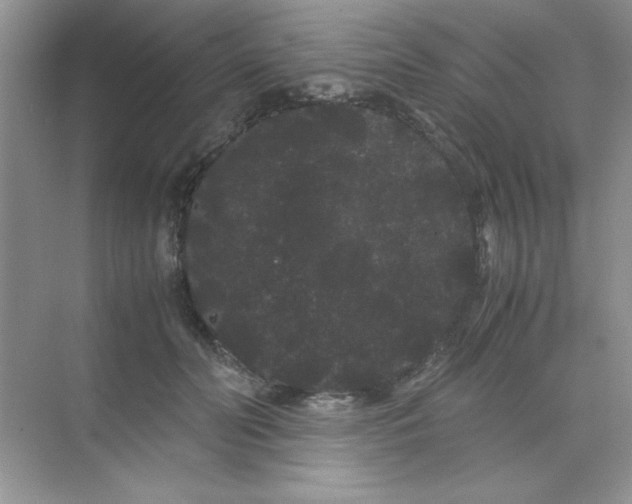 X0000071900606200607212018