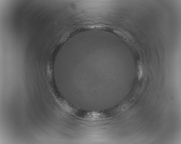 X0000071900607200607212018