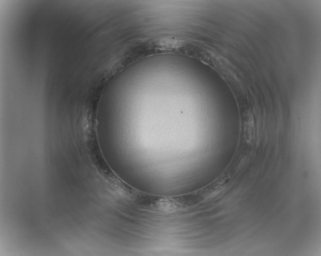 X0000071900608200607212018