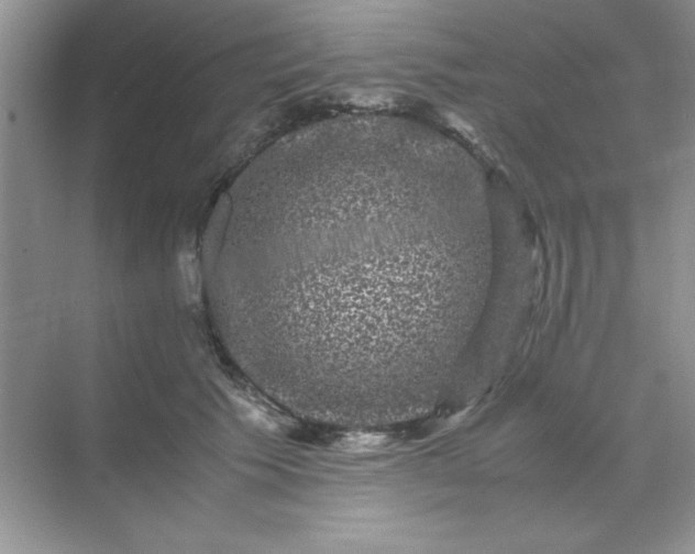 X0000071900609200607212018