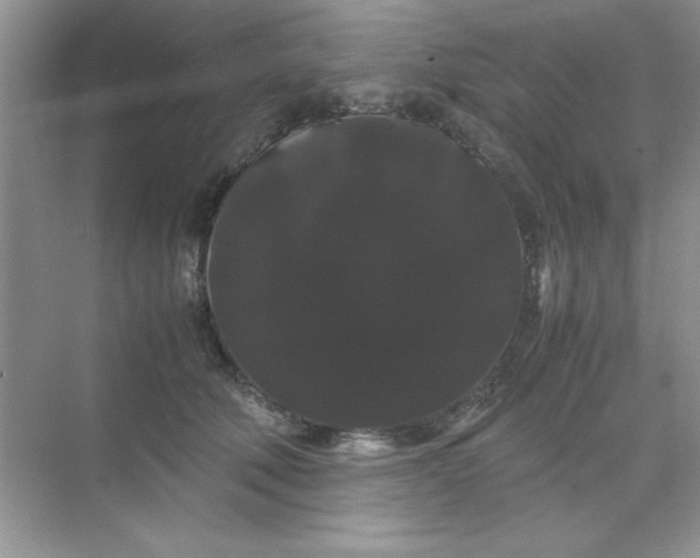 X0000071900610200607212018