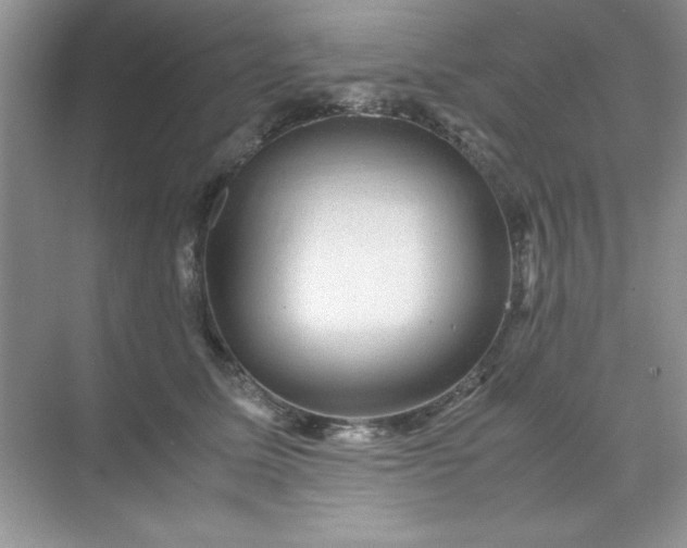 X0000071900611200607212018