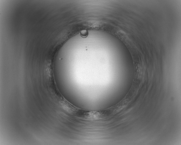 X0000071900612200607212018