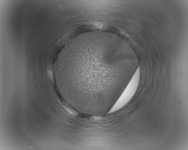 X0000071900613200607212018